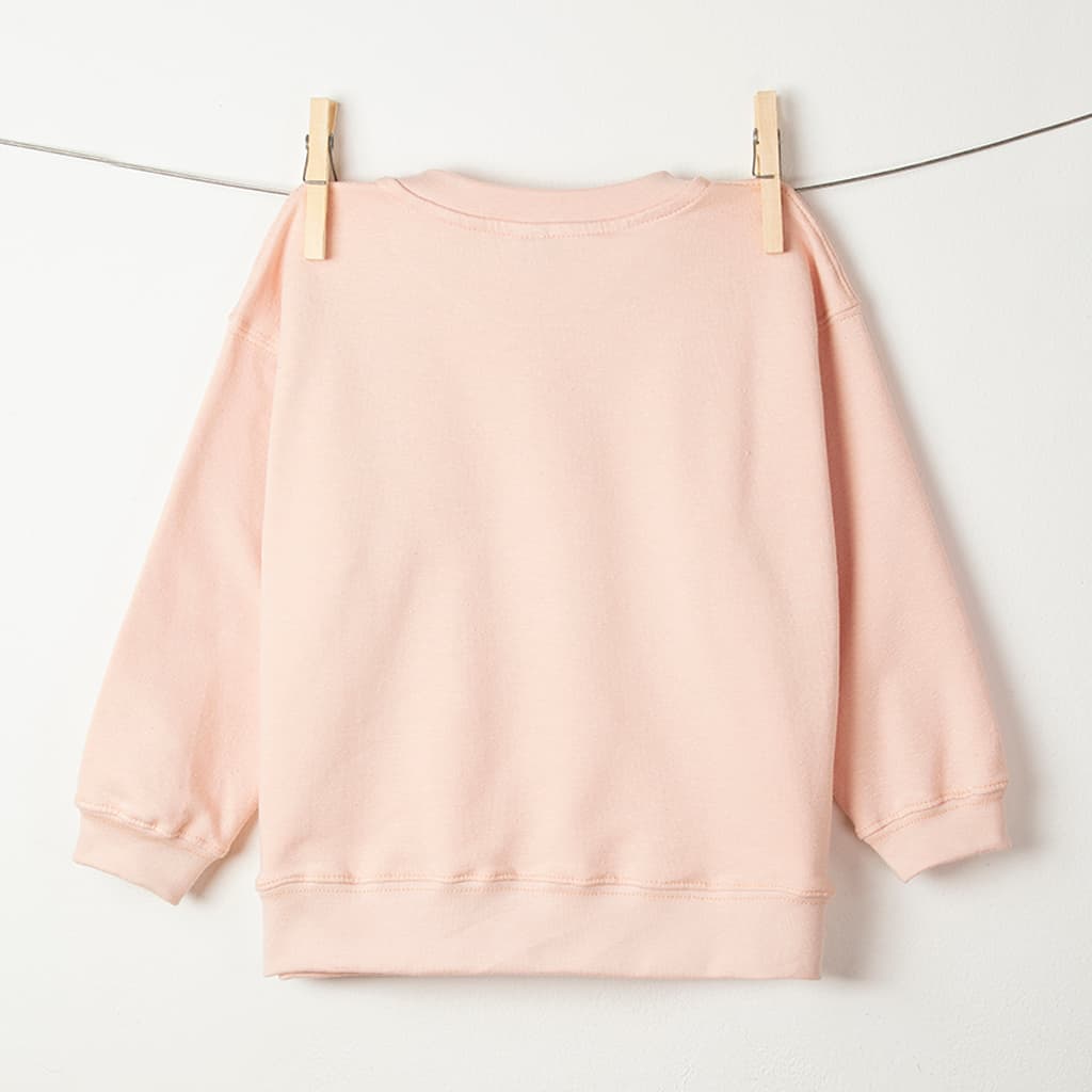 BUZO MABE ROSA